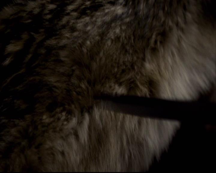 VampireDiariesWorld-dot-org_2x11ByTheLightOfTheMoon1763.jpg