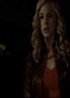 VampireDiariesWorld-dot-org_2x11ByTheLightOfTheMoon1485.jpg