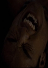 VampireDiariesWorld-dot-org_2x11ByTheLightOfTheMoon1572.jpg