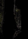 VampireDiariesWorld-dot-org_2x11ByTheLightOfTheMoon1682.jpg