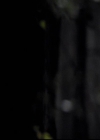 VampireDiariesWorld-dot-org_2x11ByTheLightOfTheMoon1683.jpg