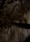 VampireDiariesWorld-dot-org_2x11ByTheLightOfTheMoon1763.jpg
