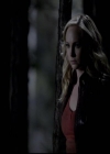 VampireDiariesWorld-dot-org_2x11ByTheLightOfTheMoon2046.jpg