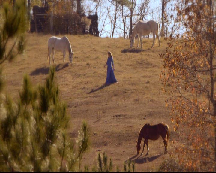 VampireDiariesWorld-dot-org_2x12TheDecent1702.jpg