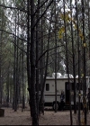 VampireDiariesWorld-dot-org_2x14CryingWolf0257.jpg