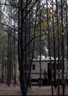 VampireDiariesWorld-dot-org_2x14CryingWolf0259.jpg