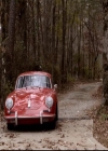 VampireDiariesWorld-dot-org_2x14CryingWolf0479.jpg