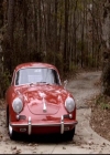 VampireDiariesWorld-dot-org_2x14CryingWolf0480.jpg