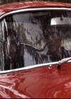 VampireDiariesWorld-dot-org_2x14CryingWolf0484.jpg