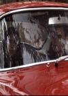 VampireDiariesWorld-dot-org_2x14CryingWolf0487.jpg