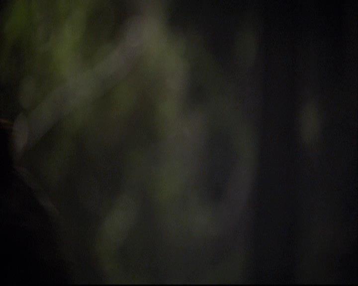 VampireDiariesWorld-dot-org_2x20TheLastDay1743.jpg