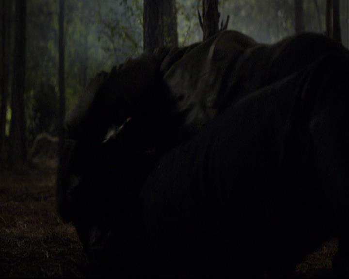 VampireDiariesWorld-dot-org_2x20TheLastDay1932.jpg