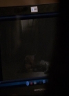 VampireDiariesWorld-dot-org_2x20TheLastDay1980.jpg