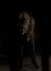 VampireDiariesWorld-dot-org_2x20TheLastDay2134.jpg