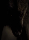 VampireDiariesWorld-dot-org_2x20TheLastDay2137.jpg