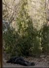 VampireDiariesWorld-dot-org_2x21TheSunAlsoRises1819.jpg