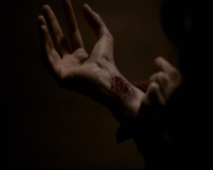 VampireDiariesWorld-dot-org_2x22AsILayDying1075.jpg