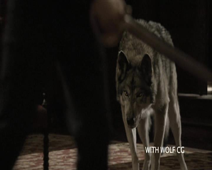 VampireDiariesWorld-dot-org_Seizoen2-DVDExtras-PagesOfTheWolf-BuildingTheBeast0102.jpg