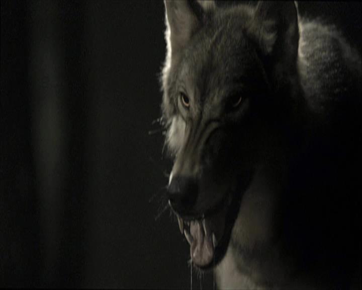 VampireDiariesWorld-dot-org_Seizoen2-DVDExtras-PagesOfTheWolf-BuildingTheBeast0111.jpg