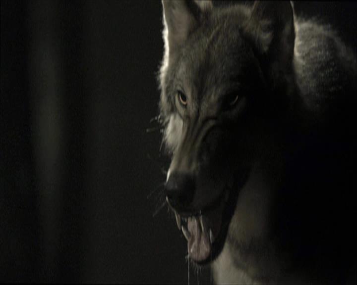 VampireDiariesWorld-dot-org_Seizoen2-DVDExtras-PagesOfTheWolf-BuildingTheBeast0112.jpg