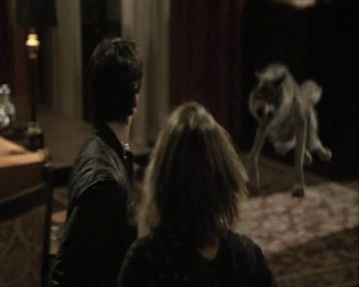 VampireDiariesWorld-dot-org_Seizoen2-DVDExtras-PagesOfTheWolf-BuildingTheBeast0172.jpg