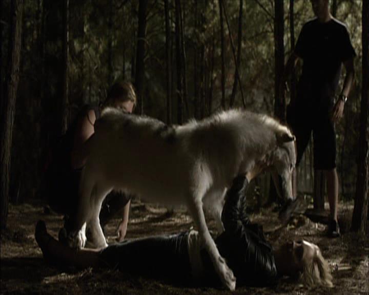 VampireDiariesWorld-dot-org_Seizoen2-DVDExtras-PagesOfTheWolf-BuildingTheBeast0231.jpg