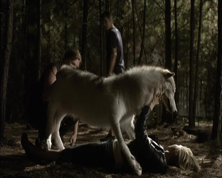 VampireDiariesWorld-dot-org_Seizoen2-DVDExtras-PagesOfTheWolf-BuildingTheBeast0232.jpg