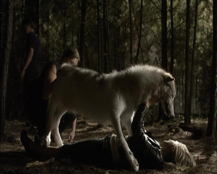 VampireDiariesWorld-dot-org_Seizoen2-DVDExtras-PagesOfTheWolf-BuildingTheBeast0233.jpg