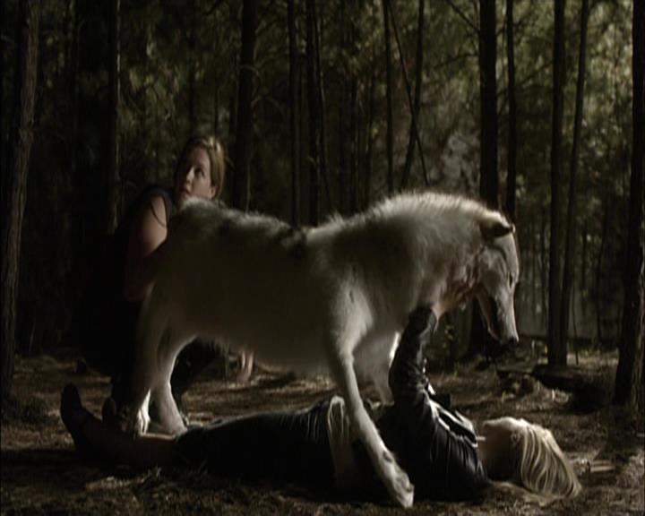 VampireDiariesWorld-dot-org_Seizoen2-DVDExtras-PagesOfTheWolf-BuildingTheBeast0234.jpg