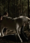 VampireDiariesWorld-dot-org_Seizoen2-DVDExtras-PagesOfTheWolf-BuildingTheBeast0231.jpg