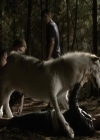 VampireDiariesWorld-dot-org_Seizoen2-DVDExtras-PagesOfTheWolf-BuildingTheBeast0232.jpg