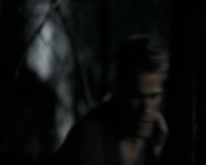 VampireDiariesWorld-dot-org_Seizoen2-DVDExtras-PagesOfTheWolf-TheMythAndTheMystery0003.jpg