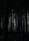 VampireDiariesWorld-dot-org_Seizoen2-DVDExtras-PagesOfTheWolf-TheMythAndTheMystery0206.jpg