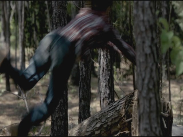 VampireDiariesWorld-dot-org-TVD_3x02TheHybrid3207.jpg