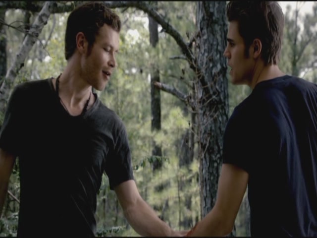 VampireDiariesWorld-dot-org-TVD_3x02TheHybrid3247.jpg