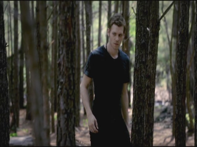 VampireDiariesWorld-dot-org-TVD_3x02TheHybrid3269.jpg