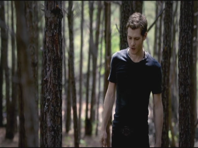 VampireDiariesWorld-dot-org-TVD_3x02TheHybrid3271.jpg