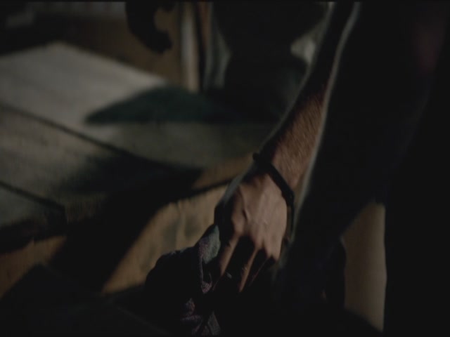 VampireDiariesWorld-dot-org-TVD_3x02TheHybrid3452.jpg