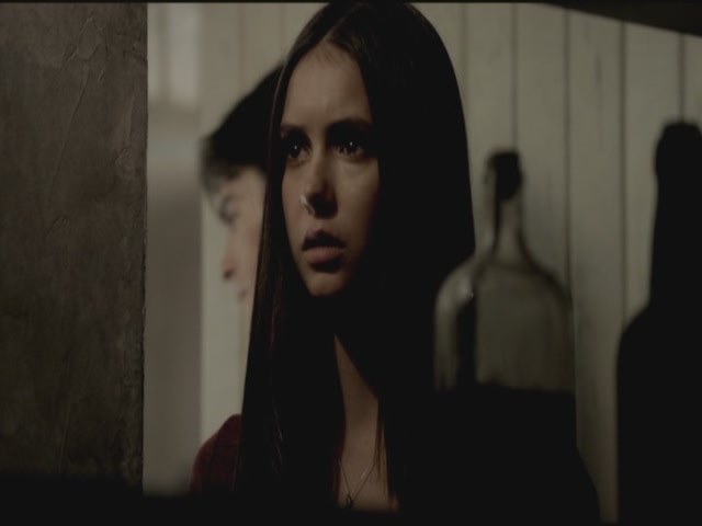 VampireDiariesWorld-dot-org-TVD_3x03TheEndOfTheAffair0729.jpg