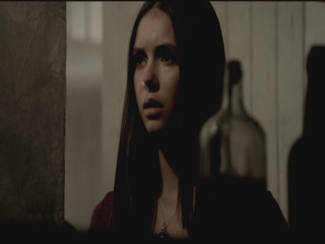 VampireDiariesWorld-dot-org-TVD_3x03TheEndOfTheAffair0730.jpg