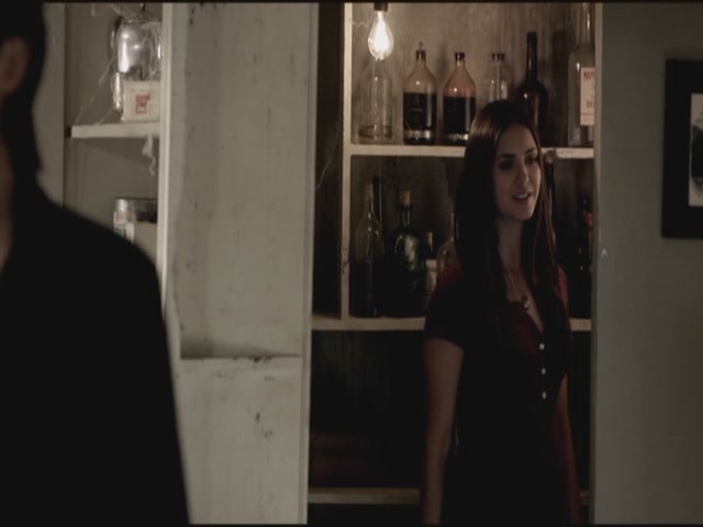 VampireDiariesWorld-dot-org-TVD_3x03TheEndOfTheAffair0732.jpg