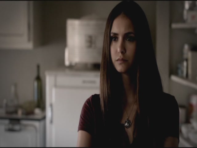 VampireDiariesWorld-dot-org-TVD_3x03TheEndOfTheAffair0740.jpg