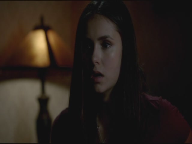 VampireDiariesWorld-dot-org-TVD_3x03TheEndOfTheAffair1114.jpg