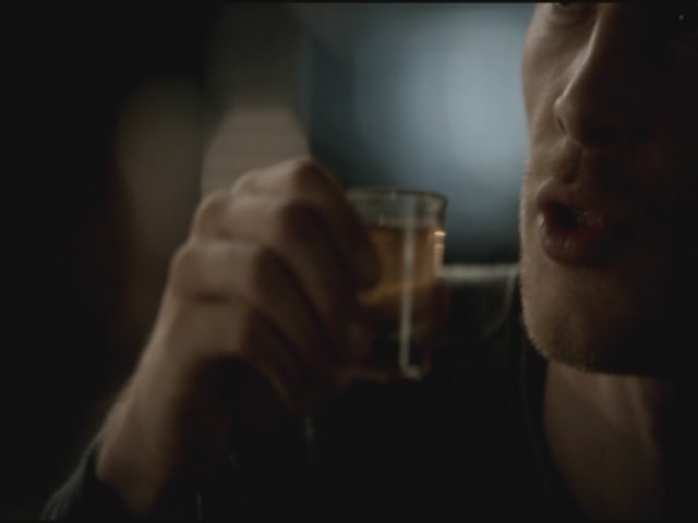 VampireDiariesWorld-dot-org-TVD_3x03TheEndOfTheAffair1371.jpg