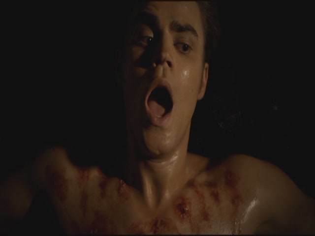 VampireDiariesWorld-dot-org-TVD_3x04DisturbingBehavior1129.jpg