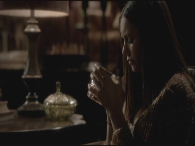 VampireDiariesWorld-dot-org-TVD_3x05TheReckoning2113.jpg