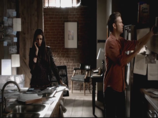 VampireDiariesWorld-dot-org-S3TVD_3x08OrdinaryPeople0484.jpg