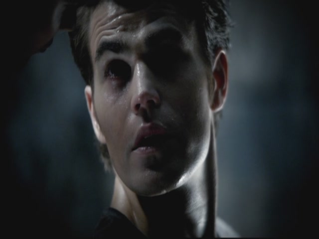 VampireDiariesWorld-dot-org-S3TVD_3x08OrdinaryPeople0561.jpg