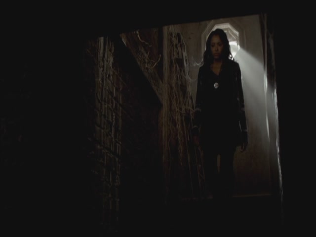 VampireDiariesWorld-dot-org-S3TVD_3x10TheNewDeal0541.jpg