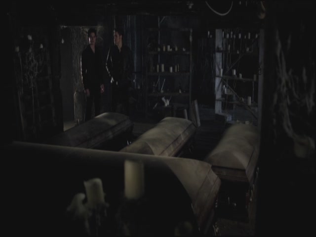 VampireDiariesWorld-dot-org-S3TVD_3x10TheNewDeal1629.jpg